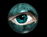 l'oeil de amine